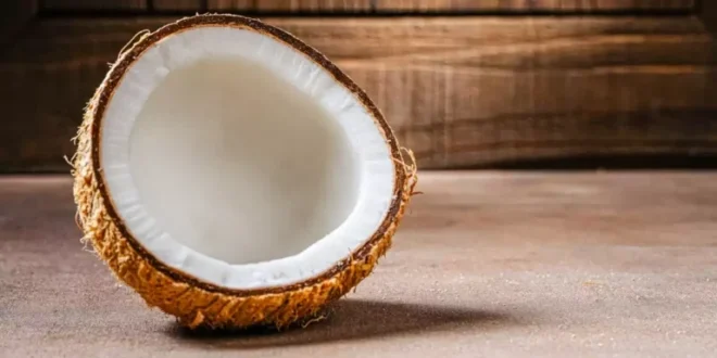 Cocco: proprietà, benefici e valore nutrizionale di un superalimento naturale Cocco: proprietà, benefici e valore nutrizionale di un superalimento naturale