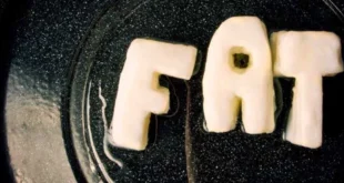 Grassi Saturi e Grassi Trans: quello che devi sapere