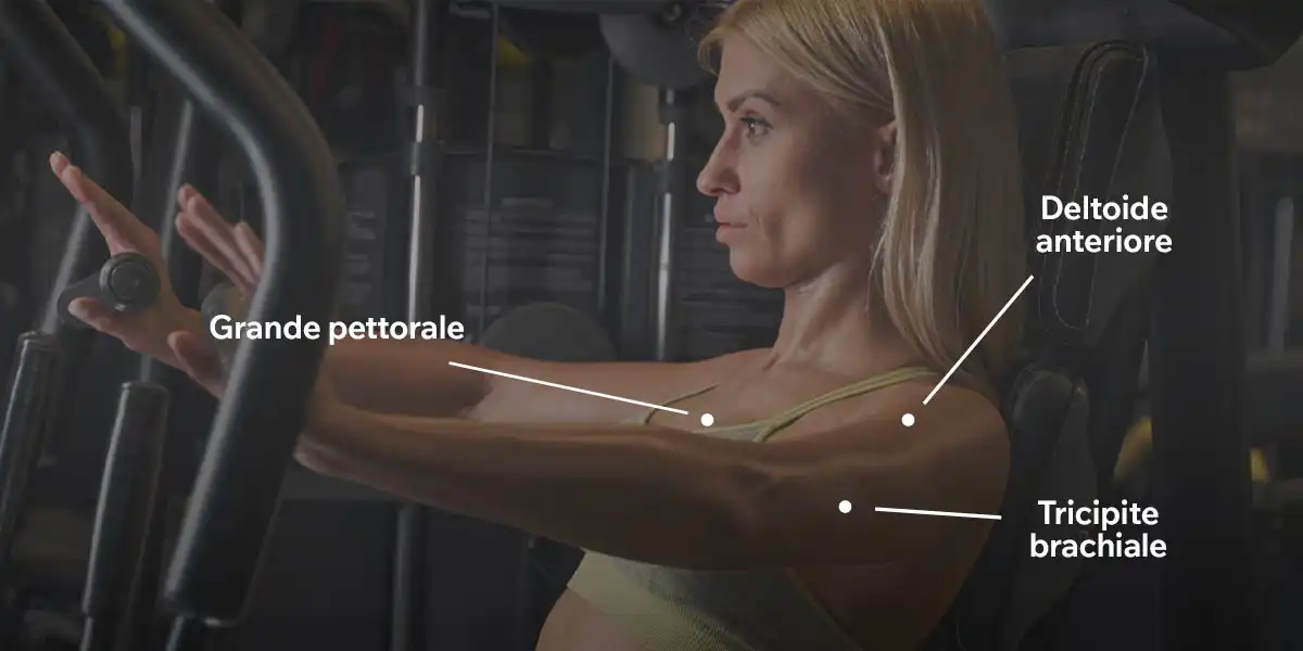 Muscoli coinvolti nel press alla macchina