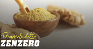 Zenzero, proprietà e benefici per la tua salute