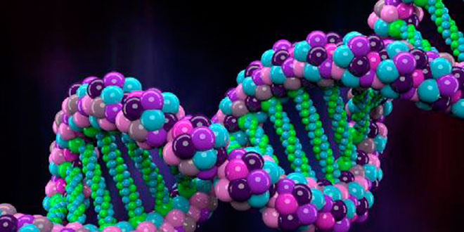 Vie anaboliche: biosintesi proteica