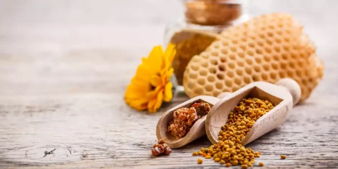 Propoli o Própolis: l’antibiotico naturale delle api Propoli o Própolis: l’antibiotico naturale delle api