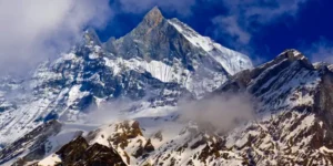 Cos'è lo Shilajit e perché è considerato un superalimento millenario