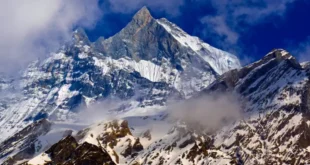 Cos'è lo Shilajit e perché è considerato un superalimento millenario