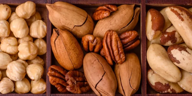 Frutta Secca e la sua Importanza per la Dieta Fitness Frutta Secca e la sua Importanza per la Dieta Fitness
