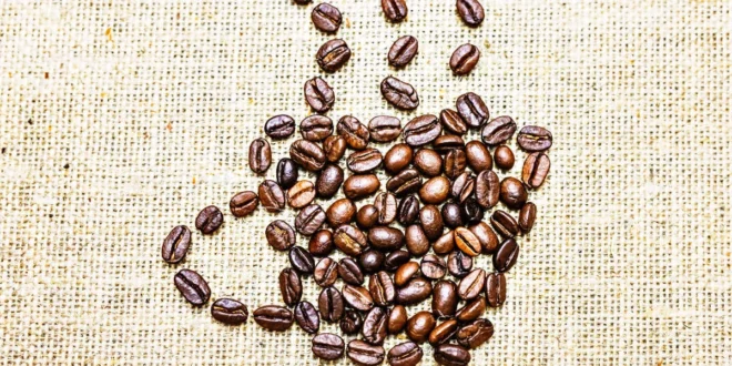 Dose giornaliera raccomandata di caffeina per il tuo rendimento sportivo Dose giornaliera raccomandata di caffeina per il tuo rendimento sportivo