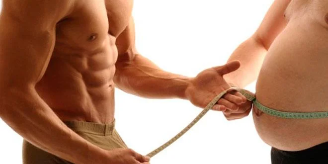 Muscolo vs Grasso Muscolo vs Grasso