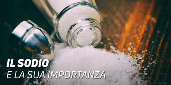 L’importanza del sodio L’importanza del sodio