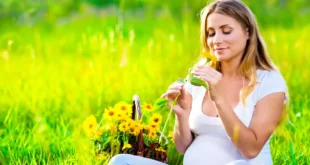 Olio di Enotera: Benessere nella fase fertile