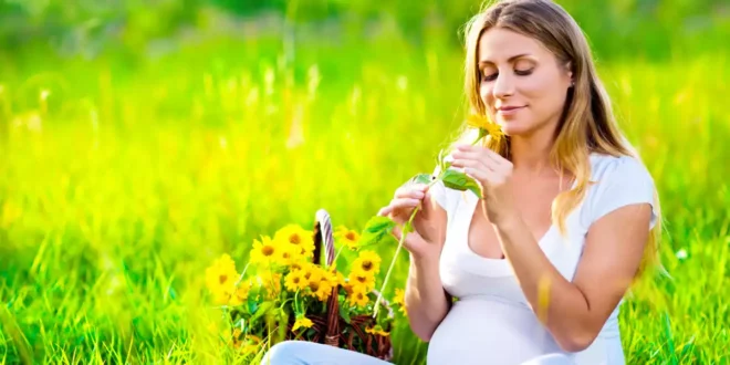 Olio di Enotera: Benessere nella fase fertile