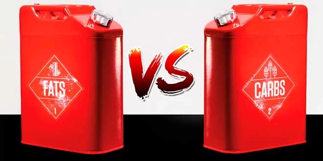 Grassi come la Migliore Energia per gli Sport di Resistenza? Grassi come la Migliore Energia per gli Sport di Resistenza?