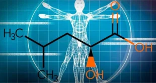 HICA: Metabolita della Leucina per la Crescita Muscolare