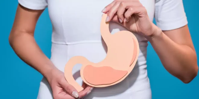 Fermenti Tindalizzati: cosa sono, come agiscono e i loro benefici per la digestione
