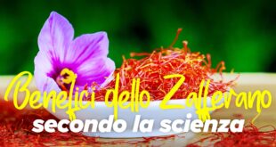 I 10 benefici dello zafferano che la scienza conferma