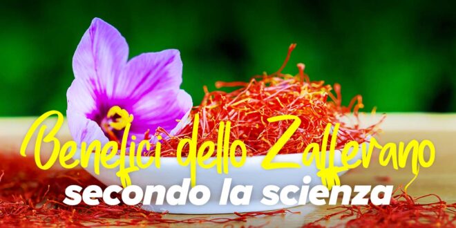 I 10 benefici dello zafferano che la scienza conferma I 10 benefici dello zafferano che la scienza conferma