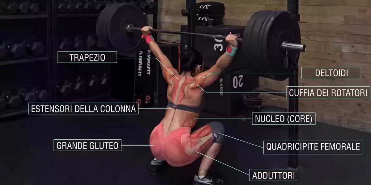 Quali muscoli coinvolge la sentadilla di strappo?
