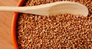 Grano Saraceno: cos’è, benefici per la salute, adatto ai celiaci