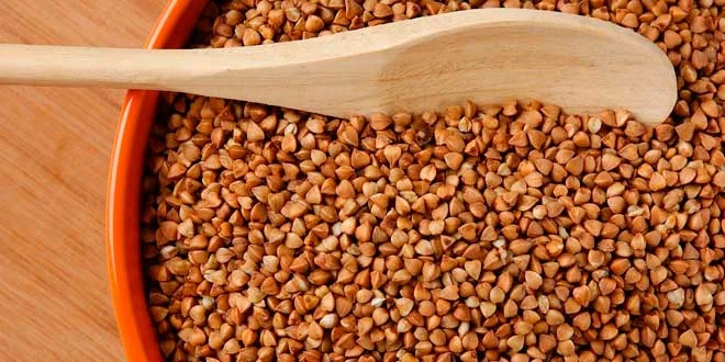 Grano Saraceno: cos’è, benefici per la salute, adatto ai celiaci Grano Saraceno: cos’è, benefici per la salute, adatto ai celiaci