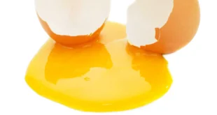 Alimenti Ricchi di Zinco