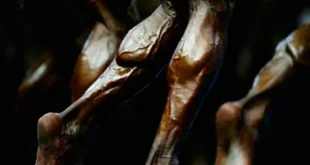 Ipertrofia: allena ogni muscolo in base al suo tipo di fibre