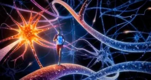 Benefici dell’Esercizio Fisico per la Memoria e l’Apprendimento