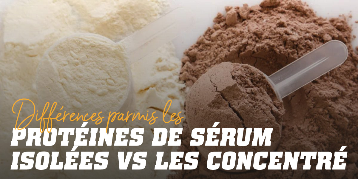 Différences Whey Protein Isolate et Concentrate