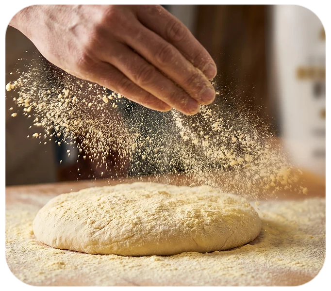 Preparati alimentari con ingredienti puri al 100 % Preparati alimentari con ingredienti puri al 100 %