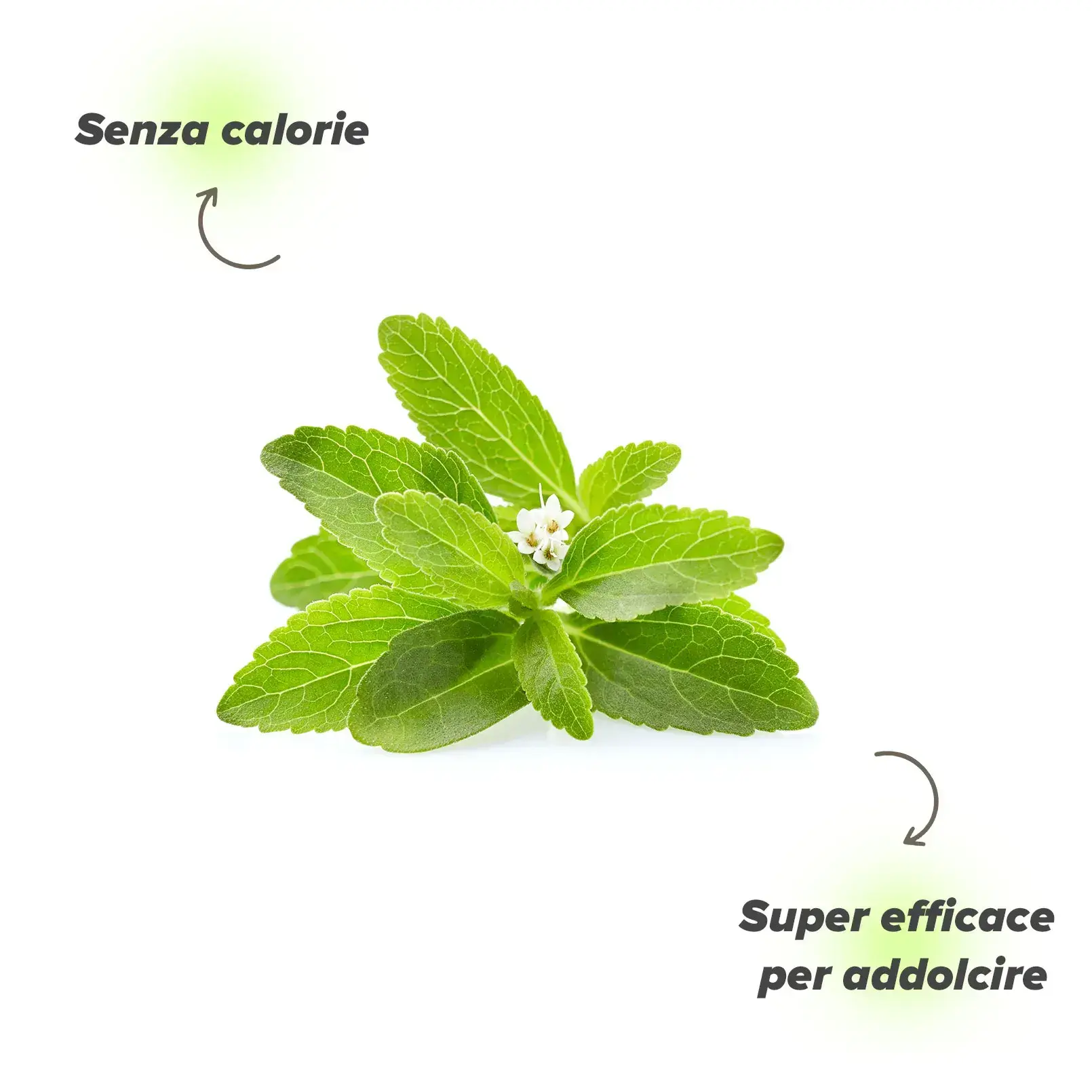 Perch&eacute; assumere Stevia come sostituto dello zucchero?