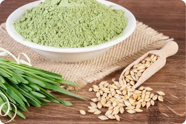 Comprare erba d'orzo HSN