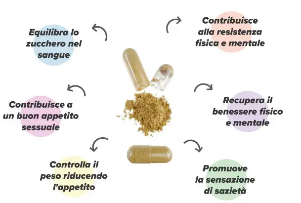 Estratto di damiana con zinco