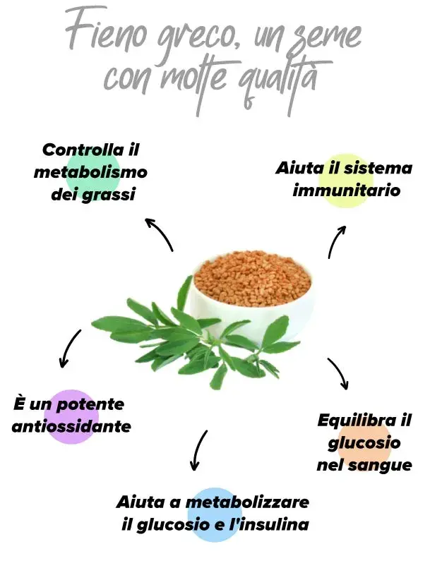 Effetti salutari del fieno greco negli sportivi