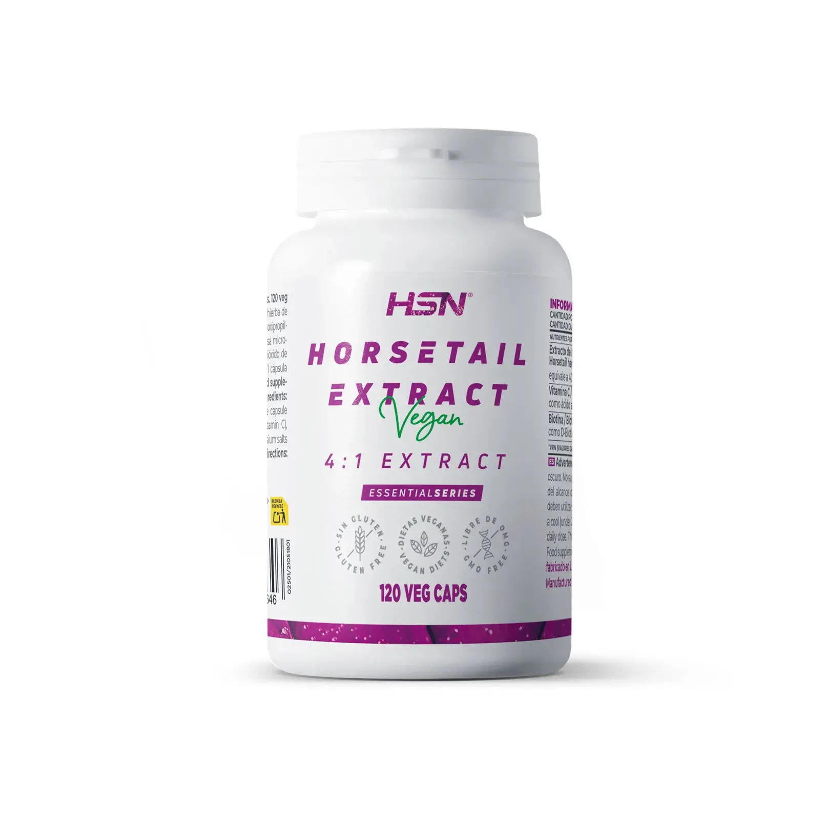 L'equiseto L'equiseto