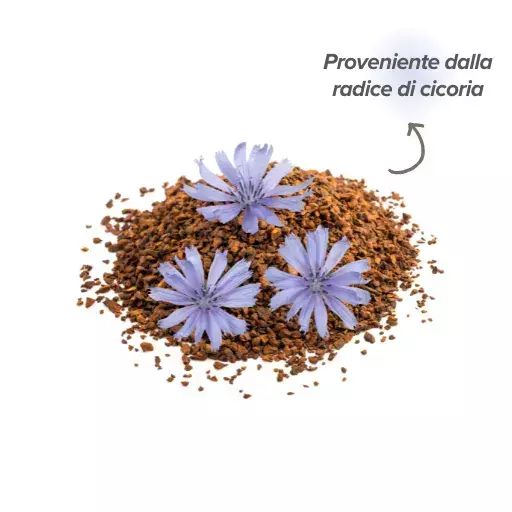 Inulina di radice di cicoria