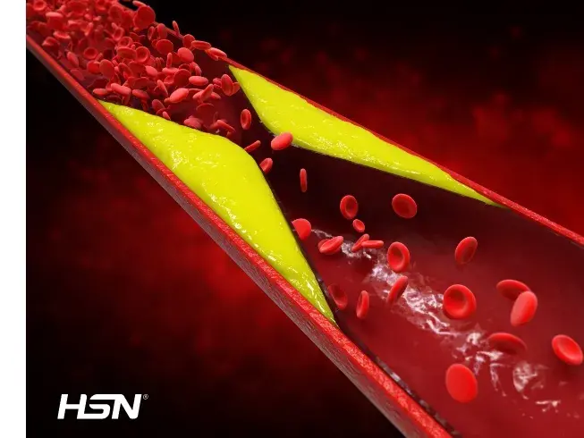 In che modo il colesterolo influisce sul funzionamento dell&rsquo;organismo?