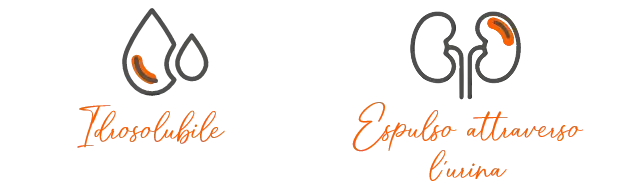 Effetti degli amminoacidi