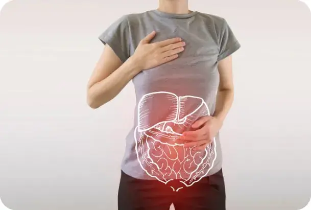 Qual &egrave; la funzione degli enzimi digestivi?