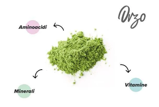 Nutrienti l'erba d'orzo