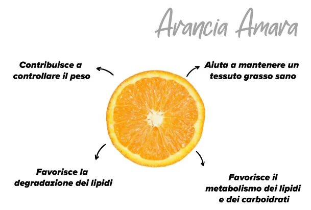 Arancia amara nell'organism