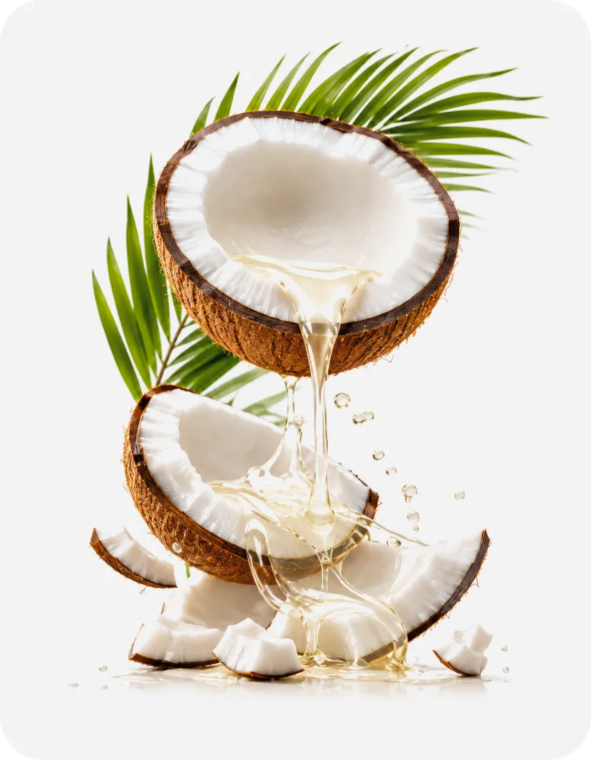 Coconut oil Coconut oil
